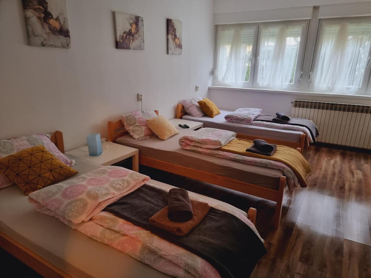 Skitnica Podravka Копривница Экстерьер фото